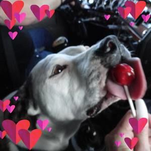 Meet your Posher, Shannon